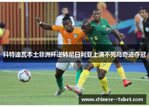 科特迪瓦本土非洲杯逆转尼日利亚上演不死鸟奇迹夺冠