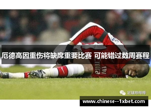 厄德高因重伤将缺席重要比赛 可能错过数周赛程
