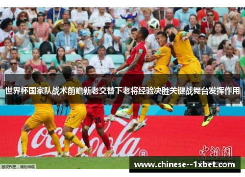 世界杯国家队战术前瞻新老交替下老将经验决胜关键战舞台发挥作用