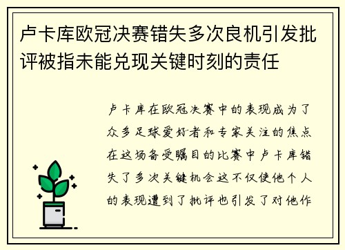 卢卡库欧冠决赛错失多次良机引发批评被指未能兑现关键时刻的责任