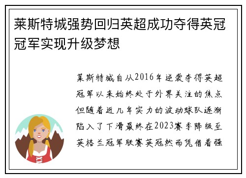 莱斯特城强势回归英超成功夺得英冠冠军实现升级梦想 莱斯特城强势回归英超成功夺得英冠冠军实现升级梦想